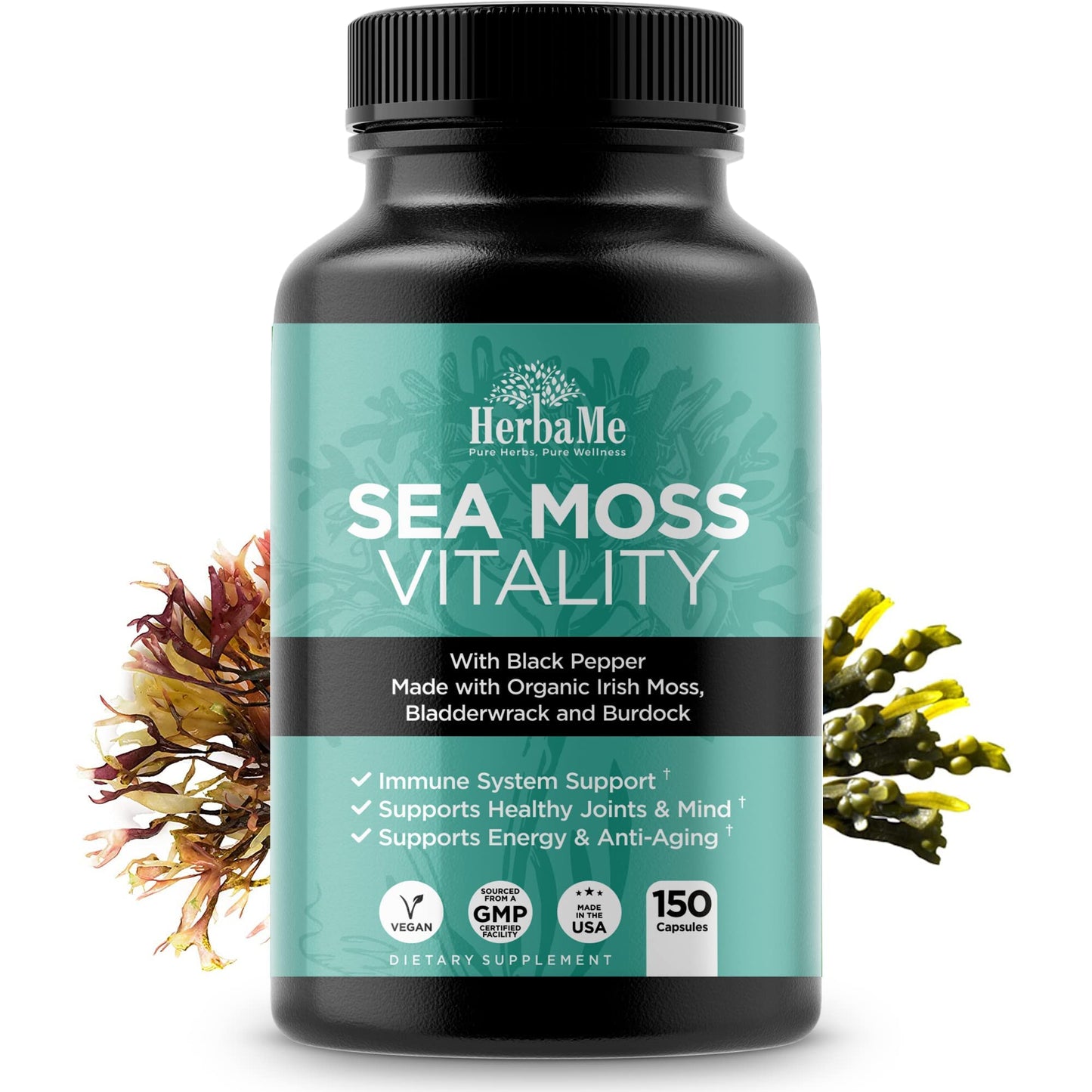 HerbaMe Organic Irish Sea Moss with Bladderwrack, Burdock Root & Black Pepper Extract - Maple Wellness Supplements