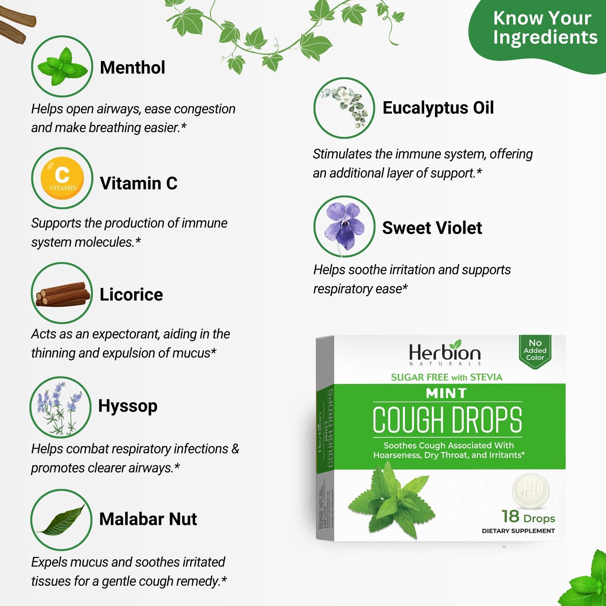 HERBION Naturals Cough Drops, Sugar Free with Stevia, Dietary Supplement, Soothes Cough, for Adults & Children Over 6 Years, 18 Count, Mint, Pack of 1 - Maple Wellness Supplements