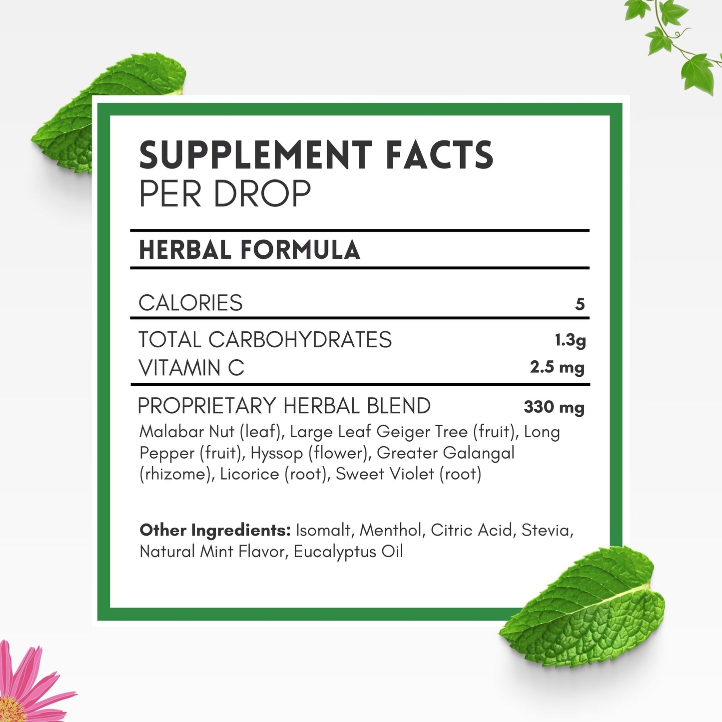 HERBION Naturals Cough Drops, Sugar Free with Stevia, Dietary Supplement, Soothes Cough, for Adults & Children Over 6 Years, 18 Count, Mint, Pack of 1 - Maple Wellness Supplements