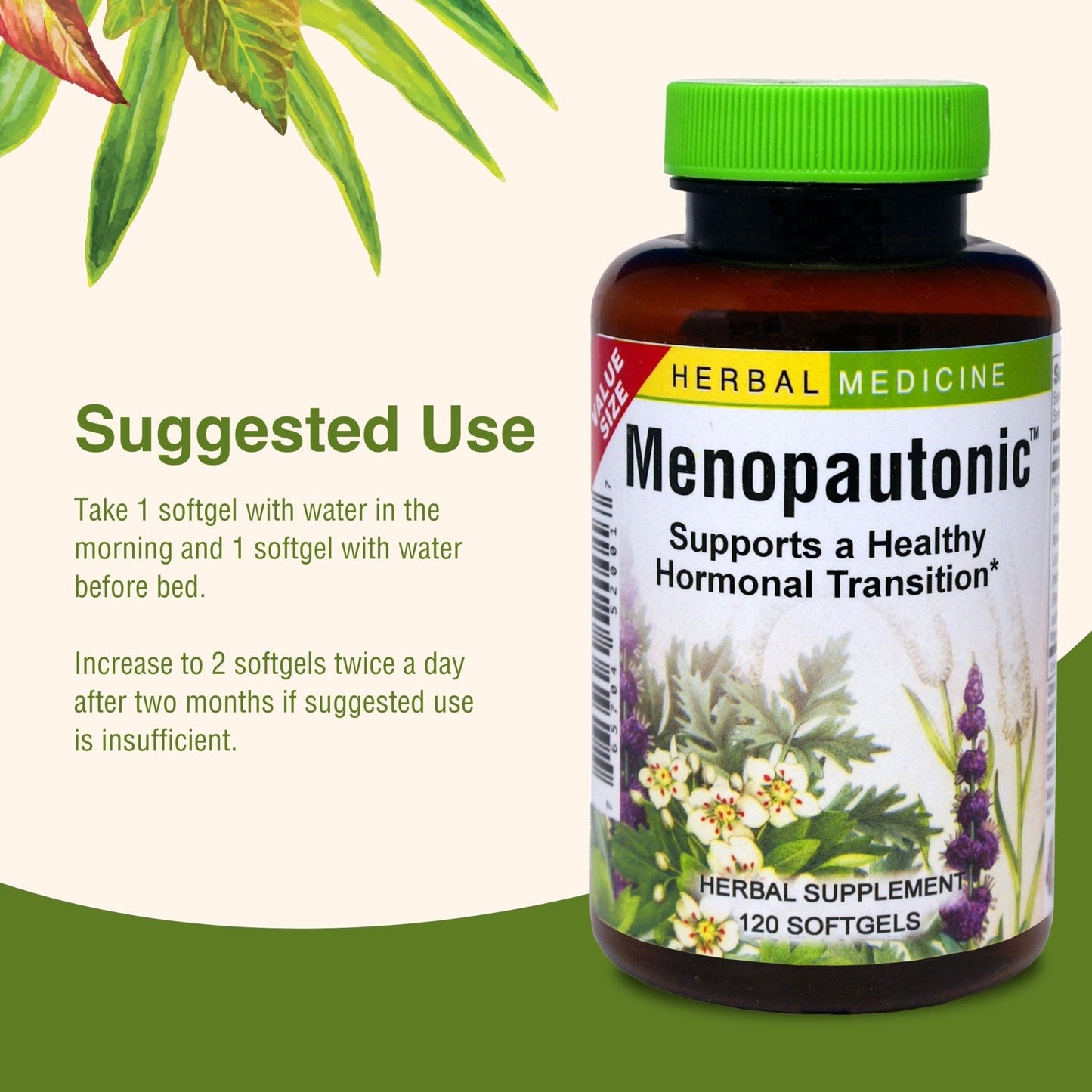 Herbs Etc. Menopautonic Softgels - Essential Supplement for Women - Hormonal Transition Support Supplement - Offers Menopausal Support with Dong Quai & Motherwort - 120 Softgels (120 Servings) - Maple Wellness Supplements