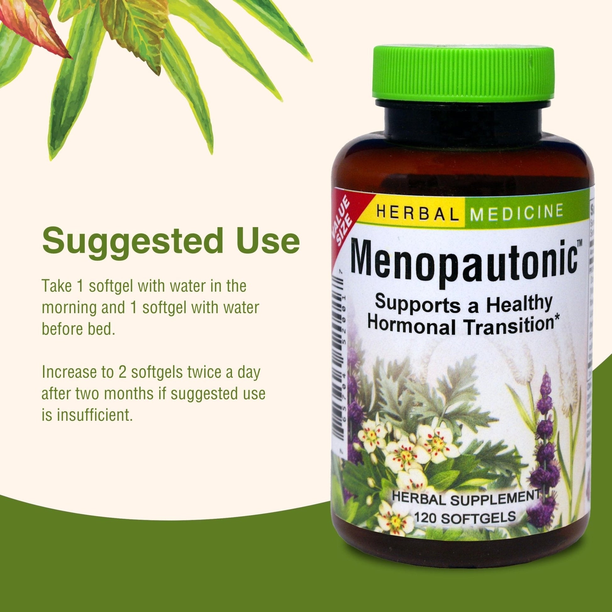 Herbs Etc. Menopautonic Softgels - Essential Supplement for Women - Hormonal Transition Support Supplement - Offers Menopausal Support with Dong Quai & Motherwort - 120 Softgels (120 Servings) - Maple Wellness Supplements