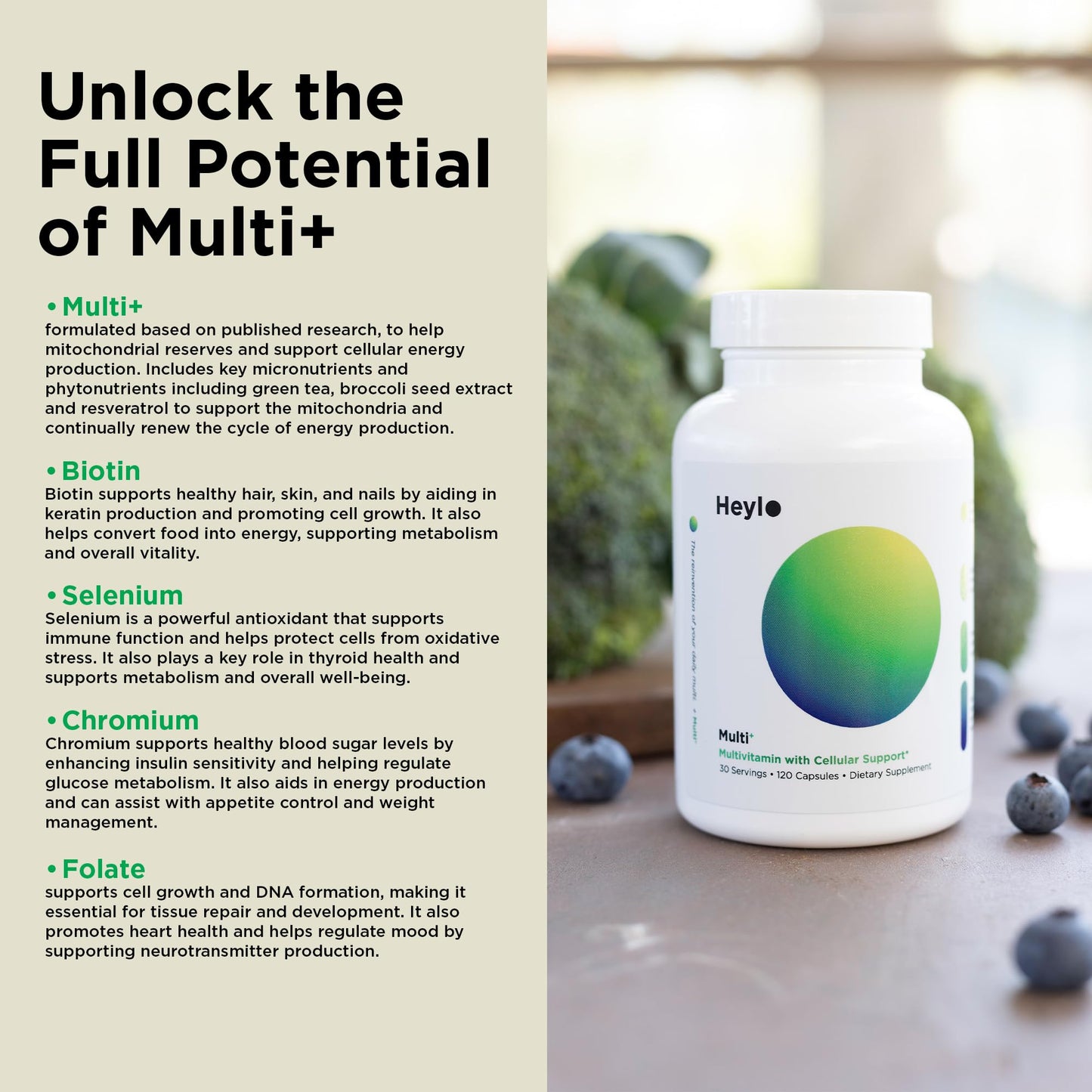 Heylo Multi+ Advanced Multivitamin Supplement – Boosts Energy, Enhances Immune Support, Provides Antioxidant Protection, Promotes Detoxification - Maple Wellness Supplements