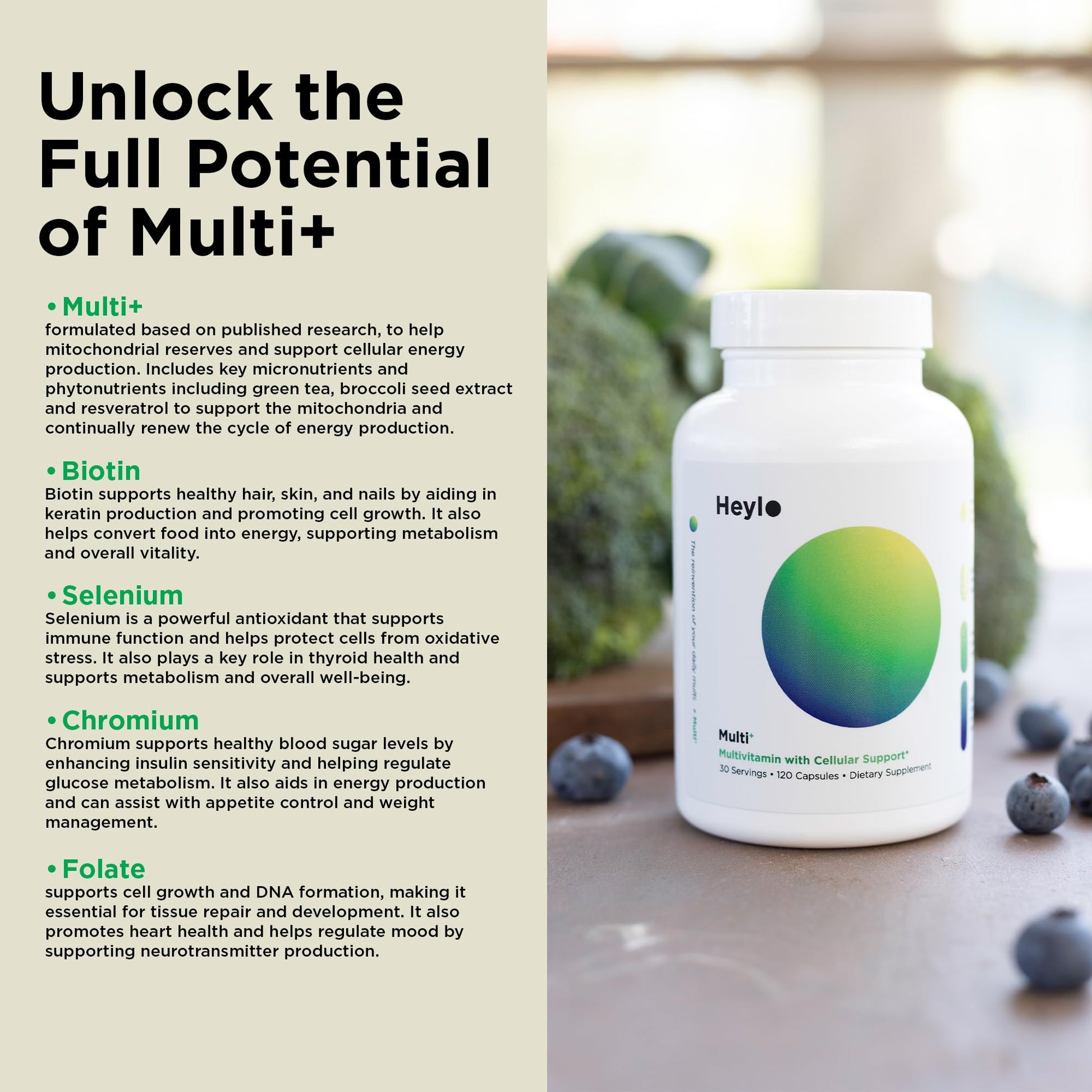 Heylo Multi+ Advanced Multivitamin Supplement – Boosts Energy, Enhances Immune Support, Provides Antioxidant Protection, Promotes Detoxification - Maple Wellness Supplements