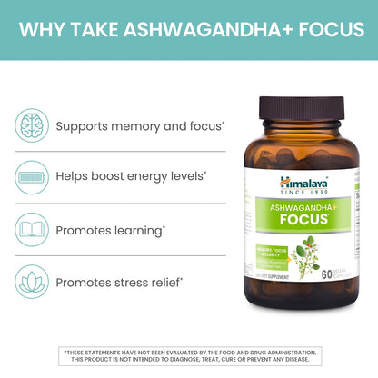 Himalaya Ashwagandha+ Focus - Herbal Focus Supplement with B12, Rosemary, Green Tea, and Bacopa Nootropics for Memory and Clarity - Vegan, Non-GMO, Gluten Free, 1690 mg, 60 Caplets - Maple Wellness Supplements