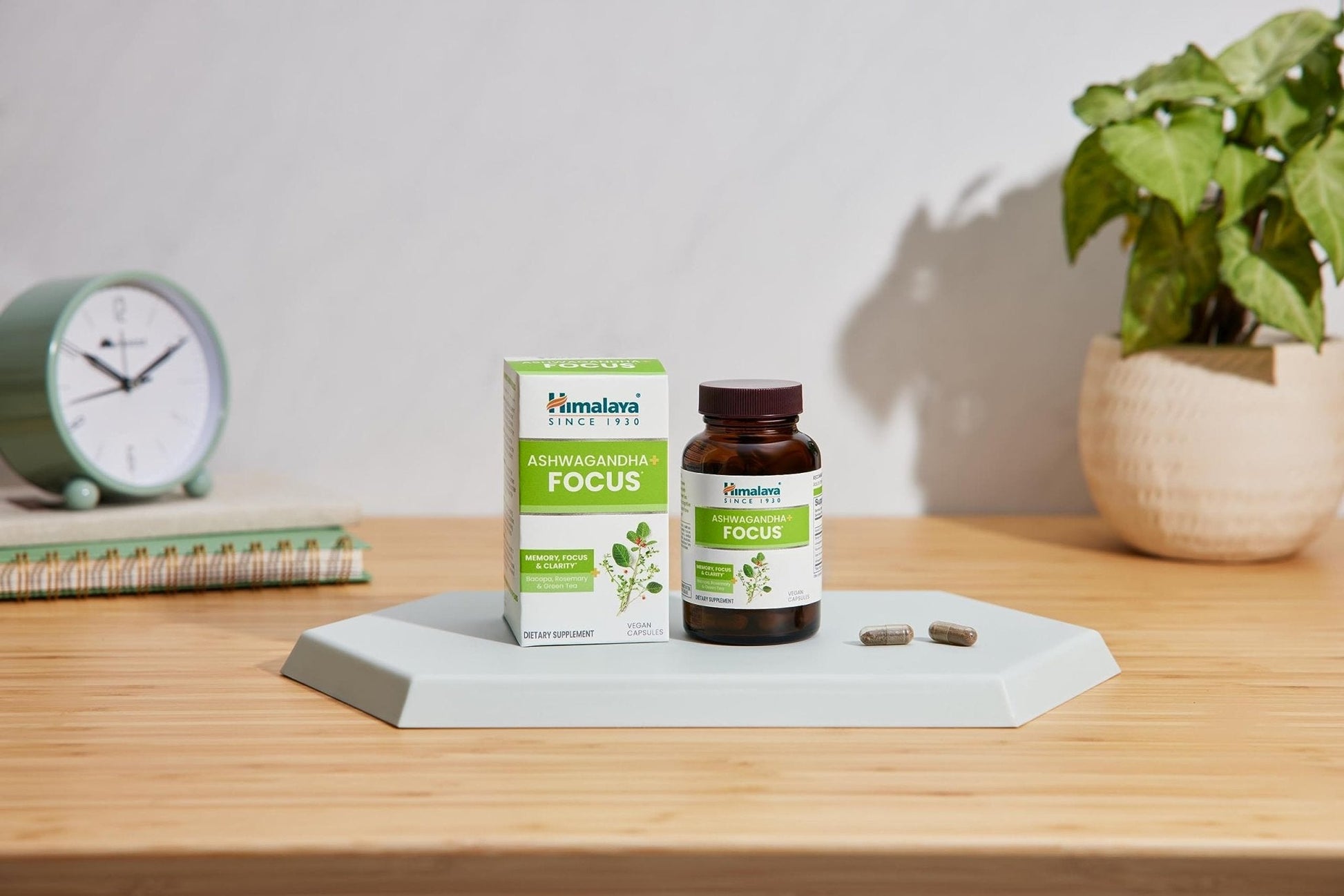 Himalaya Ashwagandha+ Focus - Herbal Focus Supplement with B12, Rosemary, Green Tea, and Bacopa Nootropics for Memory and Clarity - Vegan, Non-GMO, Gluten Free, 1690 mg, 60 Caplets - Maple Wellness Supplements