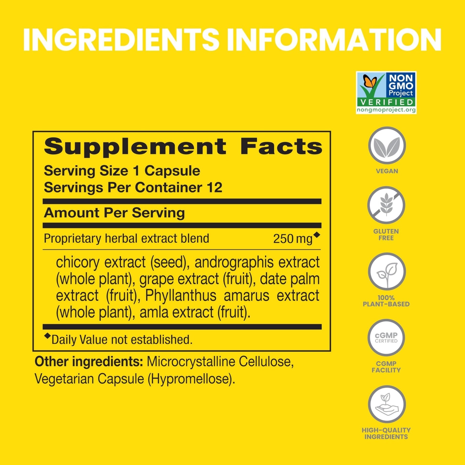 Himalaya PartySmart, 12 Capsule Tube - Alcohol Breakdown Liver Support for a Better Morning After Drinking - Plant Based, Vegan, Non-GMO - Maple Wellness Supplements