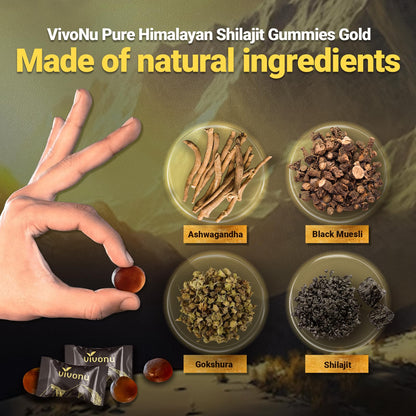 Himalayan9 Shilajit Gummies with Ashwagandha & Gokshura | 85+ Trace Minerals & Fulvic Acid | Organic, Non-GMO Micronutrient Supplement - Maple Wellness Supplements