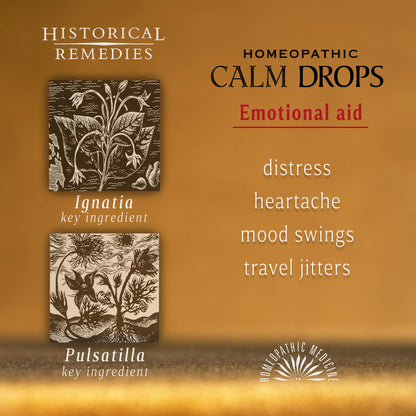 Historical Remedies Calm Drops Homeopathic Lozenges (6 Pack)| Natural Care for Emotional Relief, Vegan & Gluten-Free Organic Vanilla Flavor Drops to Promote Relaxation and a Sense of Calm - Maple Wellness Supplements