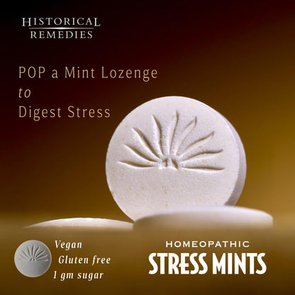 Historical Remedies Stress Mints (1 Pack) | Homeopathic Lozenges to Aid Stress & Digestion, Organic Peppermint Flavor, Vegan & Gluten-Free, Non-Habit Forming - Maple Wellness Supplements