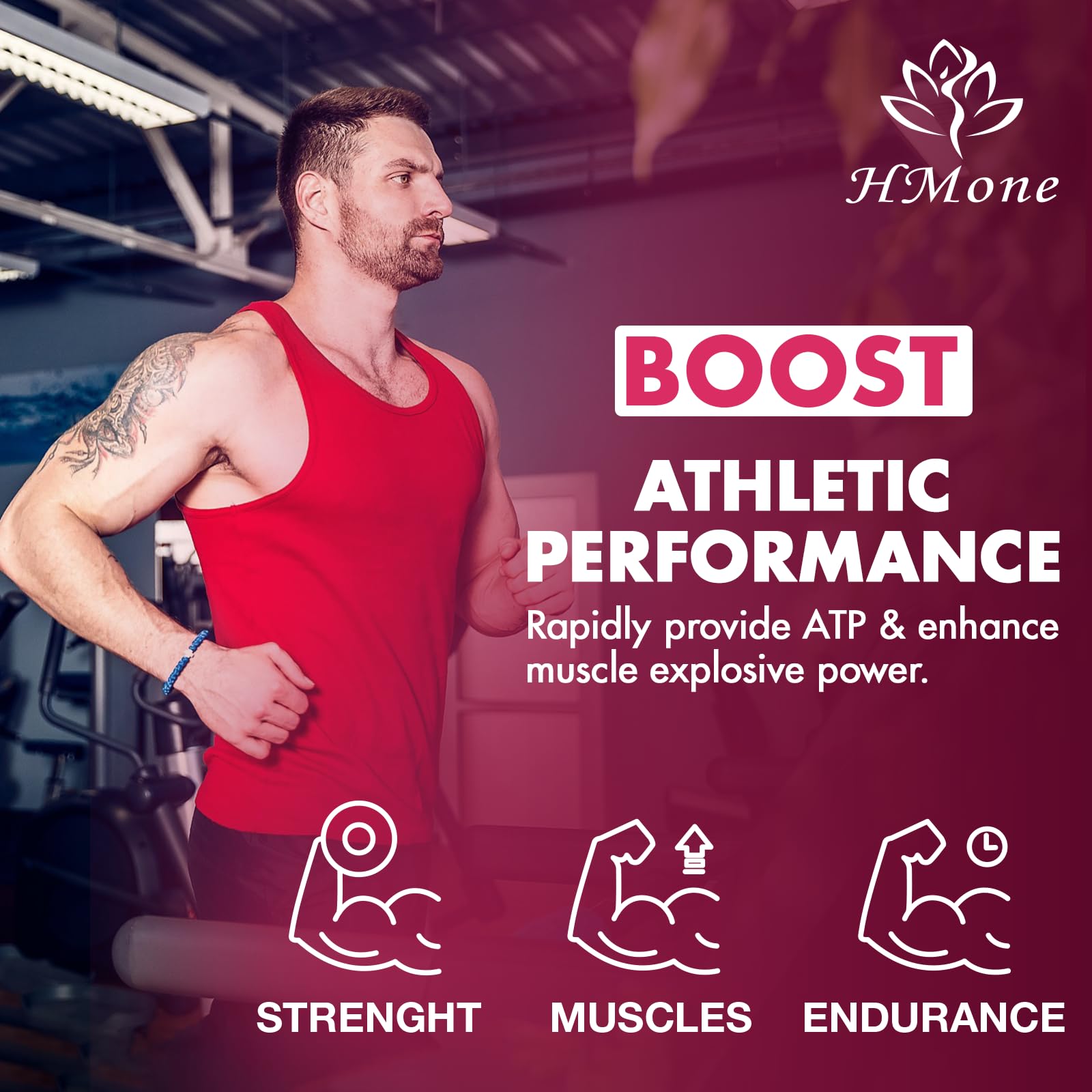 HMone Creatine Monohydrate Gummies - 5g for Men & Women, 160 Count and Creatine Chewable Supplements for Muscle Gain, Muscle Strength, Energy Boost - Maple Wellness Supplements
