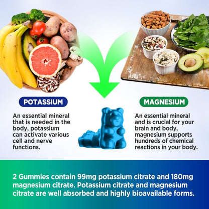 HOLLEGEND Potassium Magnesium Gummies, High Absorption Potassium Citrate 99mg Magnesium Citrate 180mg, Chewable Gummy Supplements for Leg Cramps & Muscle, 60 Count - Maple Wellness Supplements