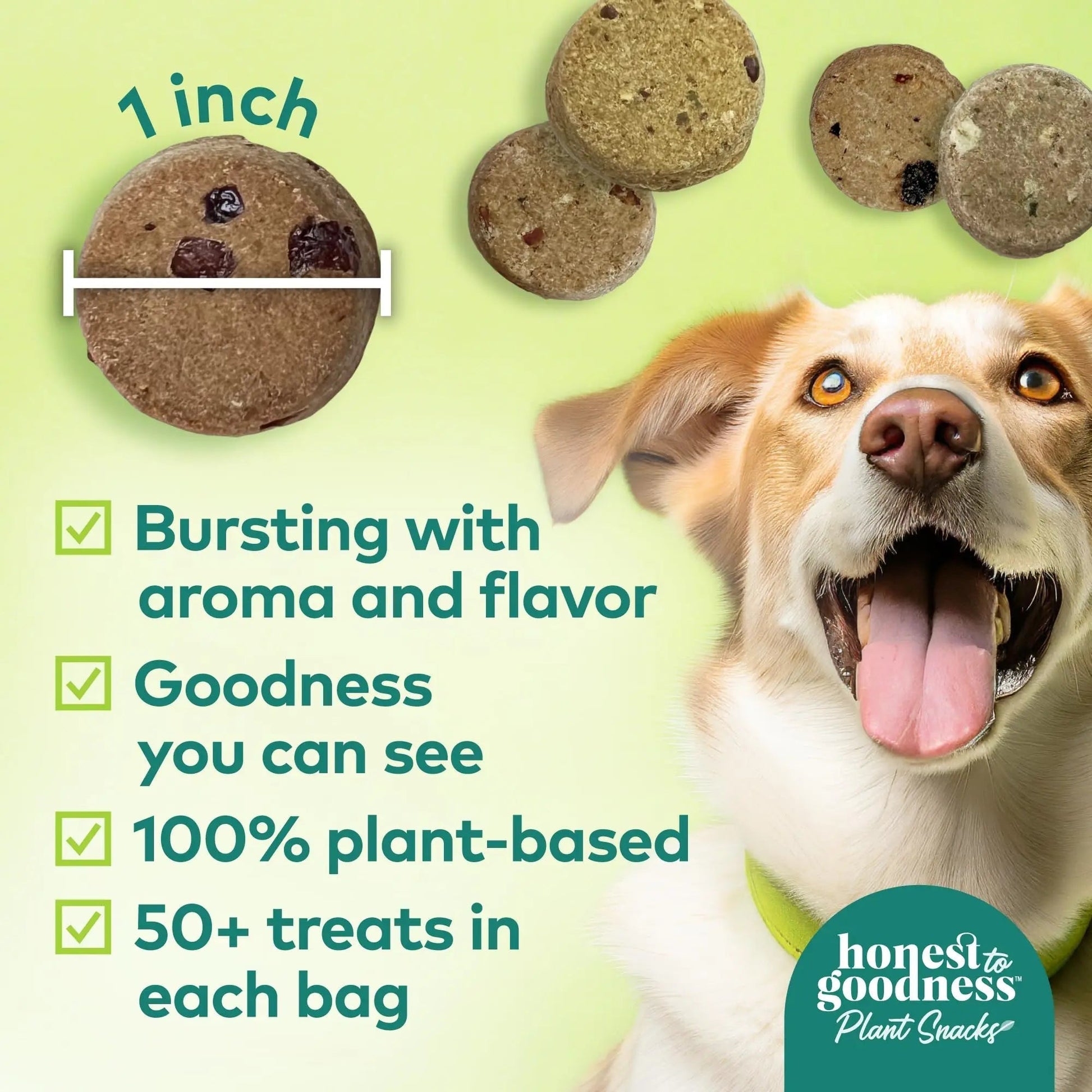 Honest to Goodness Plant Snacks Dog Treats, Enriched with Omega 3s & Postbiotics, 8oz Variety Pack, 6 Bags - Maple Wellness Supplements