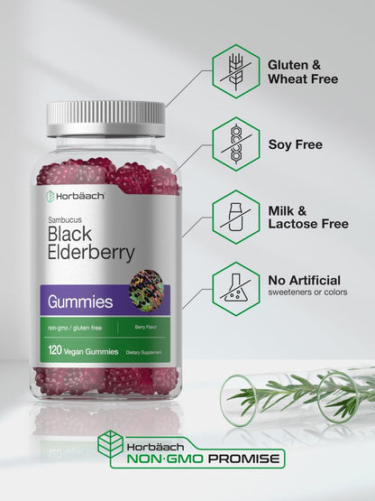 Horbaach Black Elderberry Gummies | 120 Count | Sambucus Extract | with Zinc and Vitamin C | Berry Flavor | Vegan, Non-GMO - Maple Wellness Supplements
