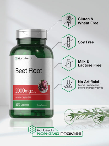 Horbäach Beet Root Powder Capsules | 220 Pills | Herbal Extract | Non-GMO, Gluten Free Supplement - Maple Wellness Supplements
