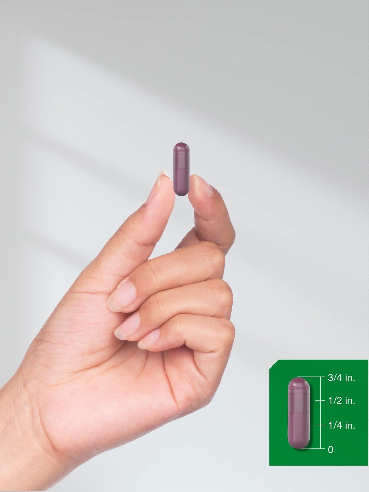 Horbäach Beet Root Powder Capsules | 320 Pills | Non-GMO, Gluten Free Formula | High Potency Herbal Extract Supplement - Maple Wellness Supplements