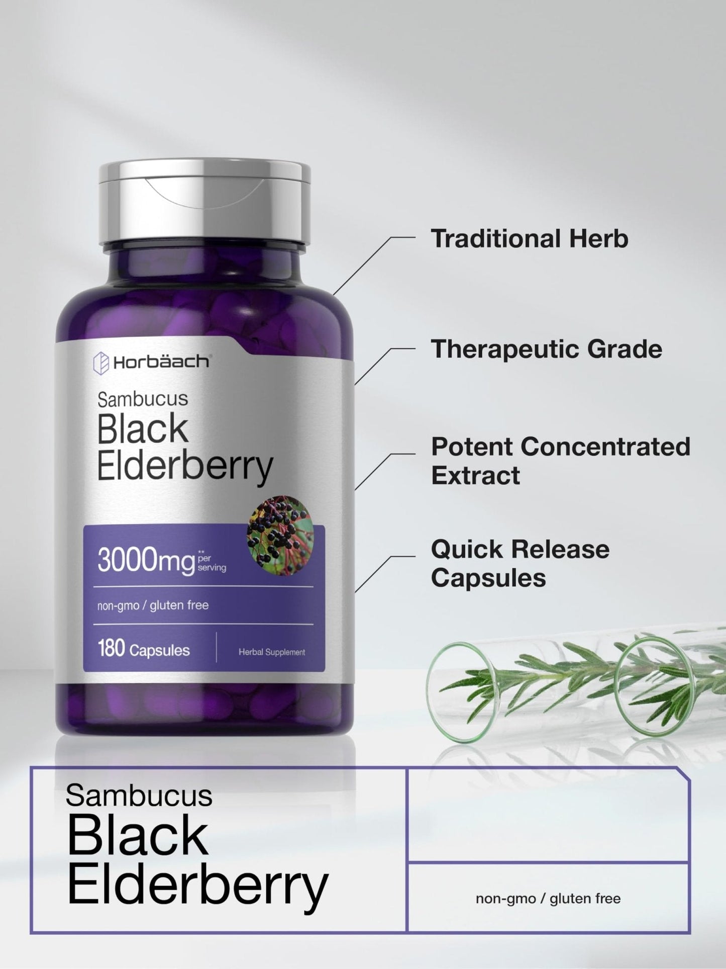 Horbäach Black Elderberry | 180 Count | Non-GMO, Gluten Free | Sambucus Extract Supplement - Maple Wellness Supplements