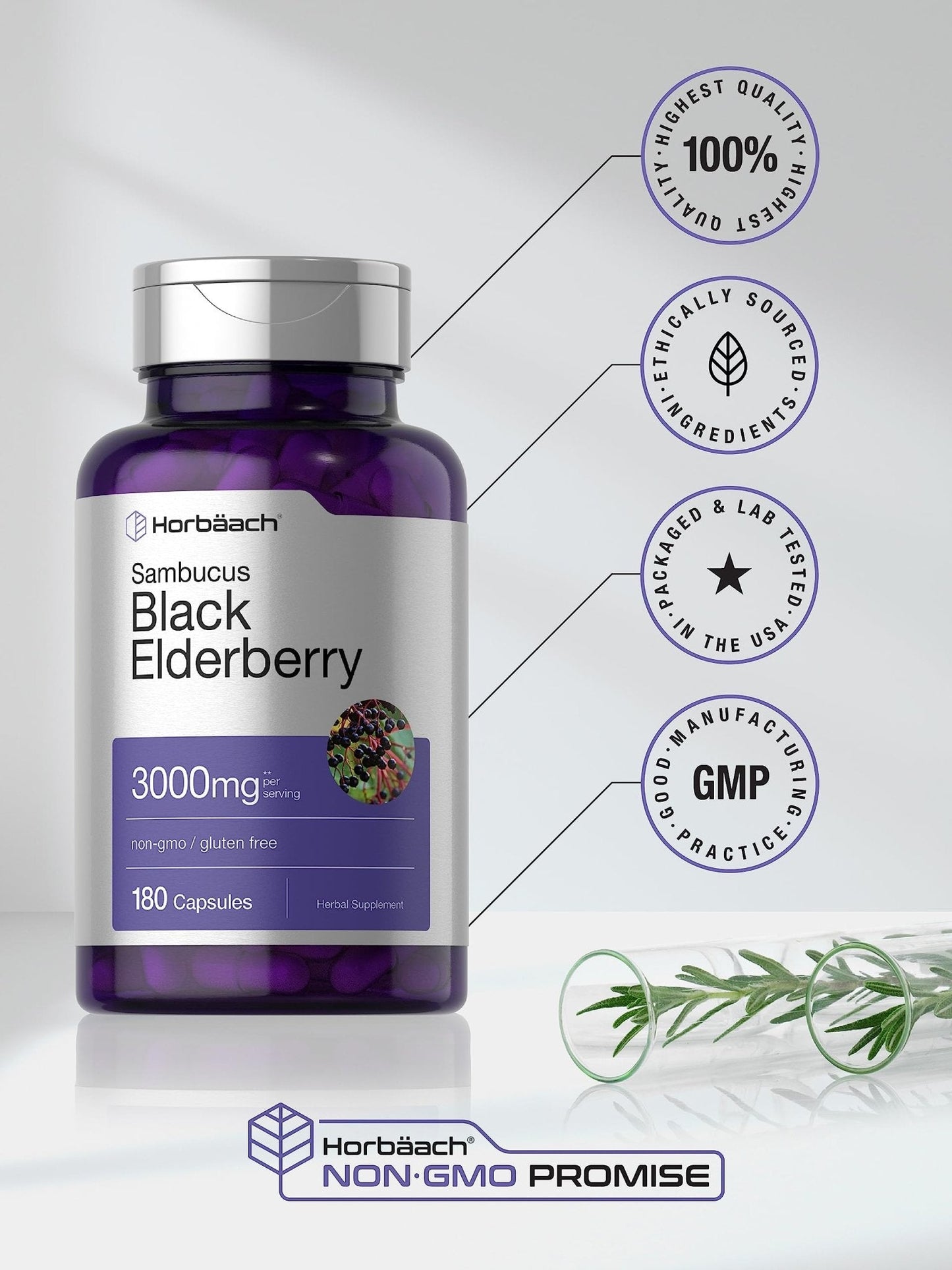 Horbäach Black Elderberry | 180 Count | Non-GMO, Gluten Free | Sambucus Extract Supplement - Maple Wellness Supplements
