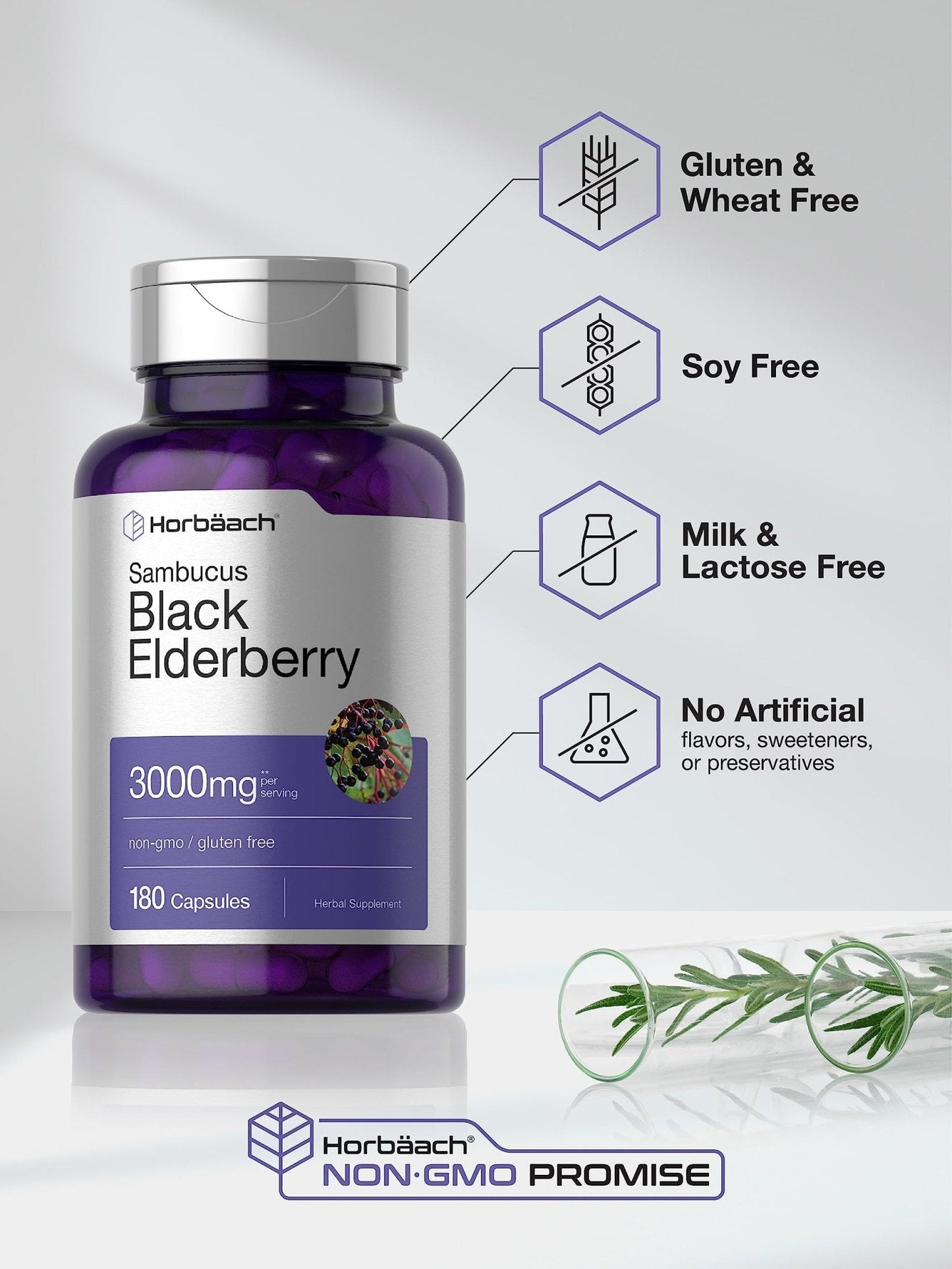 Horbäach Black Elderberry | 180 Count | Non-GMO, Gluten Free | Sambucus Extract Supplement - Maple Wellness Supplements
