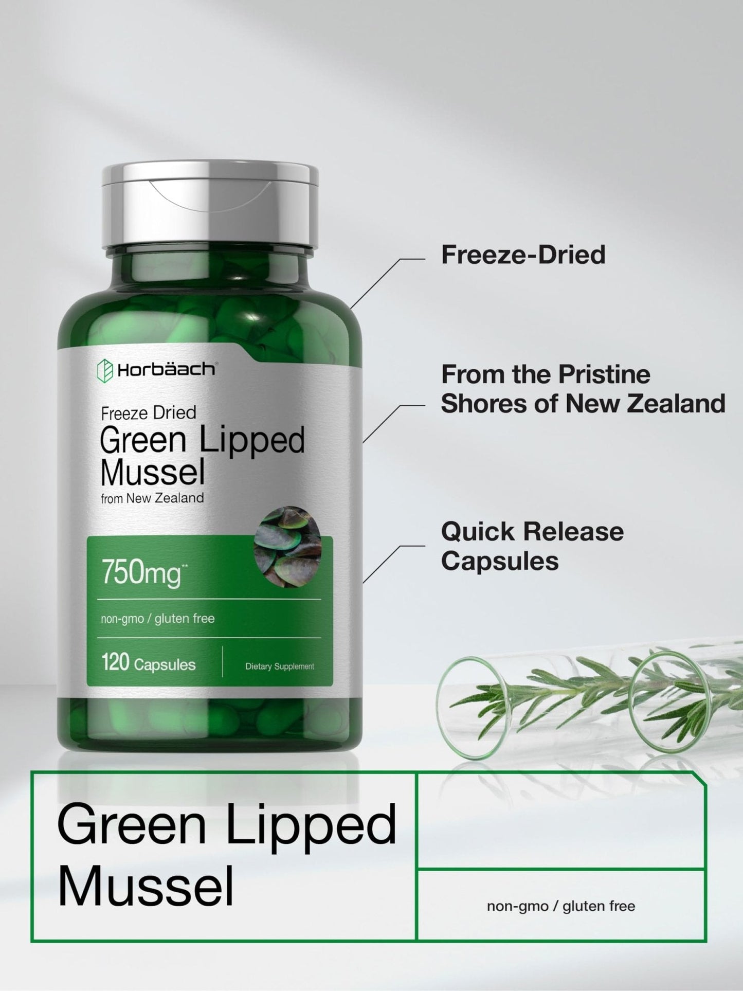 Horbäach Green Lipped Mussel |120 Capsules | from New Zealand | Premium Freeze Dried Mussel Powder - Maple Wellness Supplements