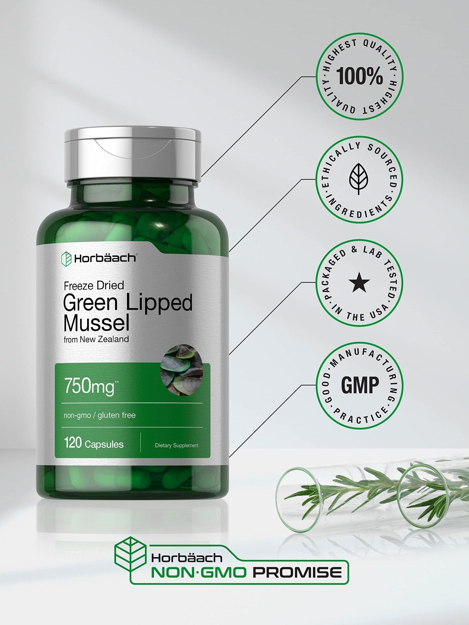 Horbäach Green Lipped Mussel |120 Capsules | from New Zealand | Premium Freeze Dried Mussel Powder - Maple Wellness Supplements