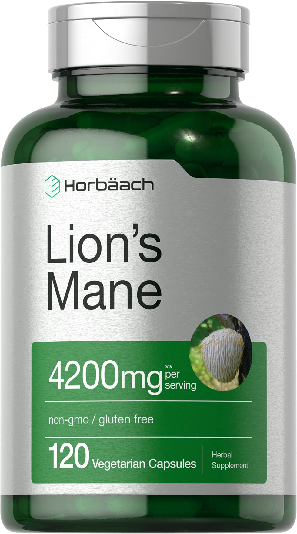 Horbäach Lions Mane Mushroom Extract | 120 Capsules | Vegetarian, Non-GMO, Gluten Free Supplement - Maple Wellness Supplements