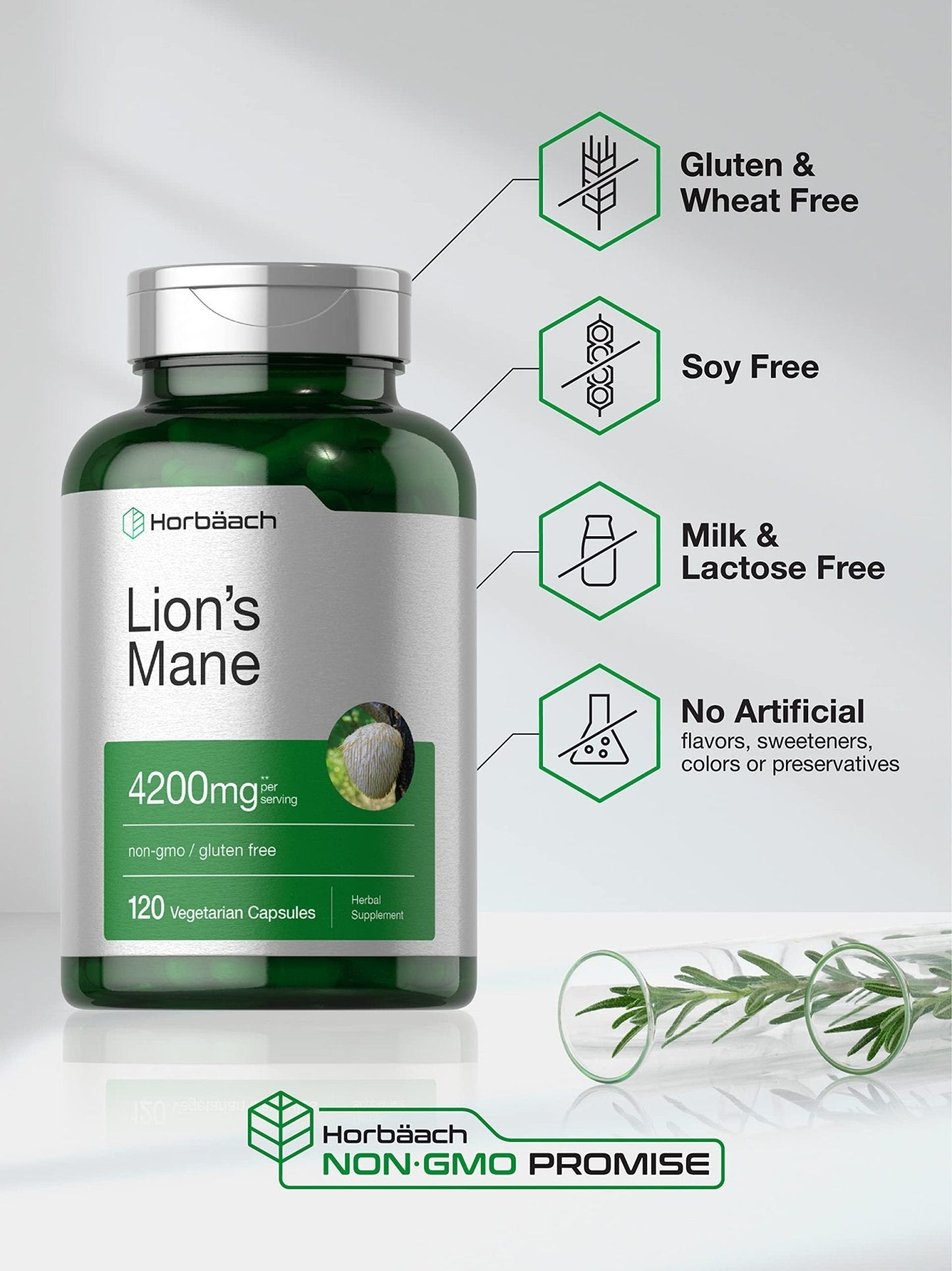 Horbäach Lions Mane Mushroom Extract | 4200mg | 120 Capsules | Vegetarian - Maple Wellness Supplements