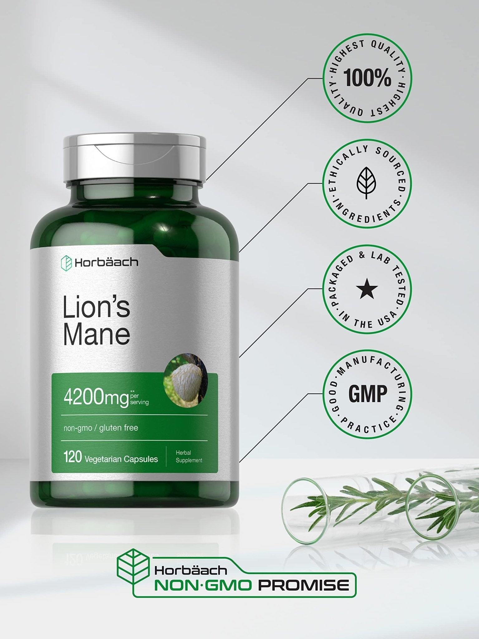 Horbäach Lions Mane Mushroom Extract | 4200mg | 120 Capsules | Vegetarian - Maple Wellness Supplements