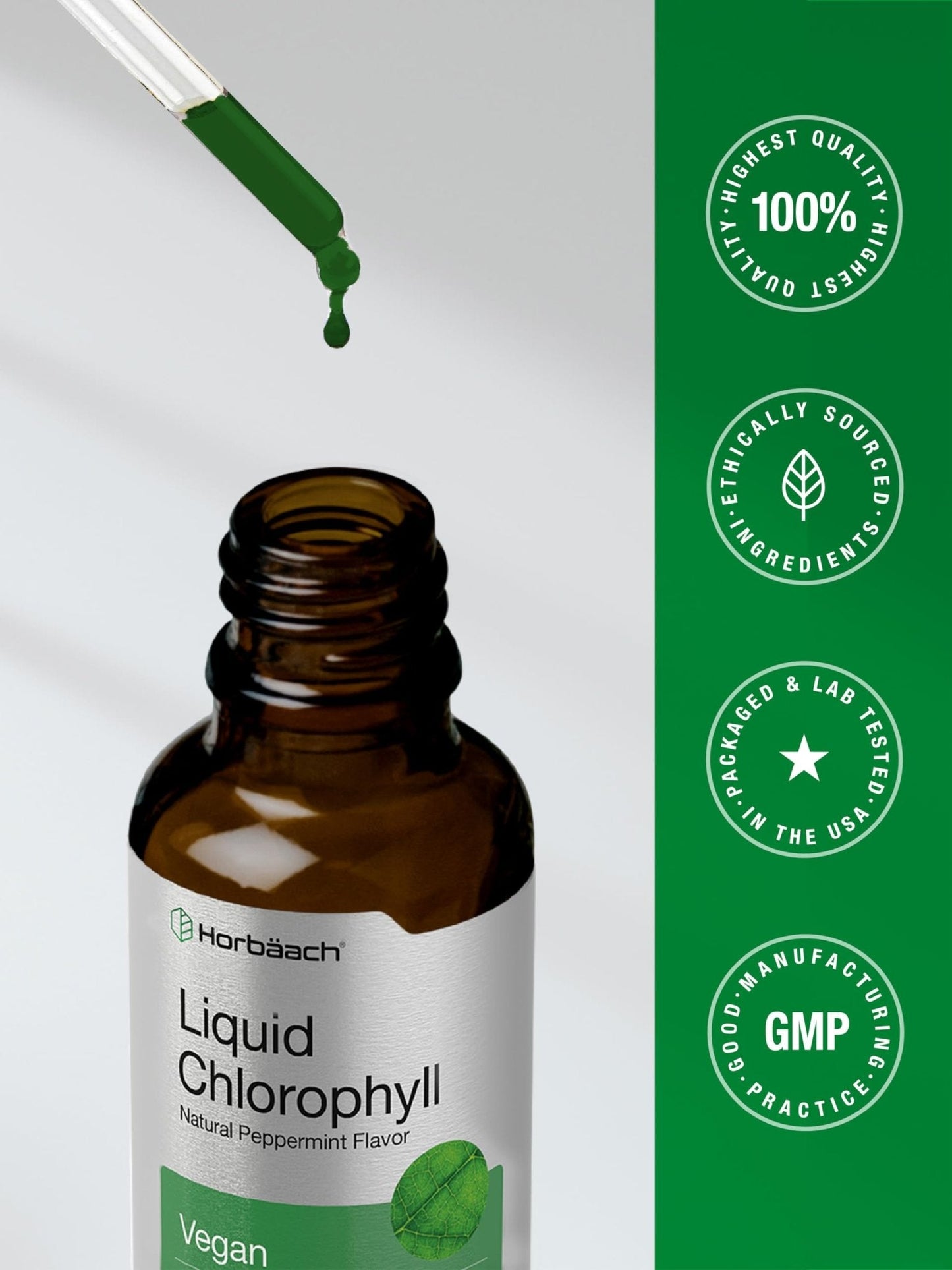 Horbäach Liquid Chlorophyll Drops | 2 oz | Vegan, Non-GMO, and Gluten Free Formula | Natural Peppermint Flavor - Maple Wellness Supplements