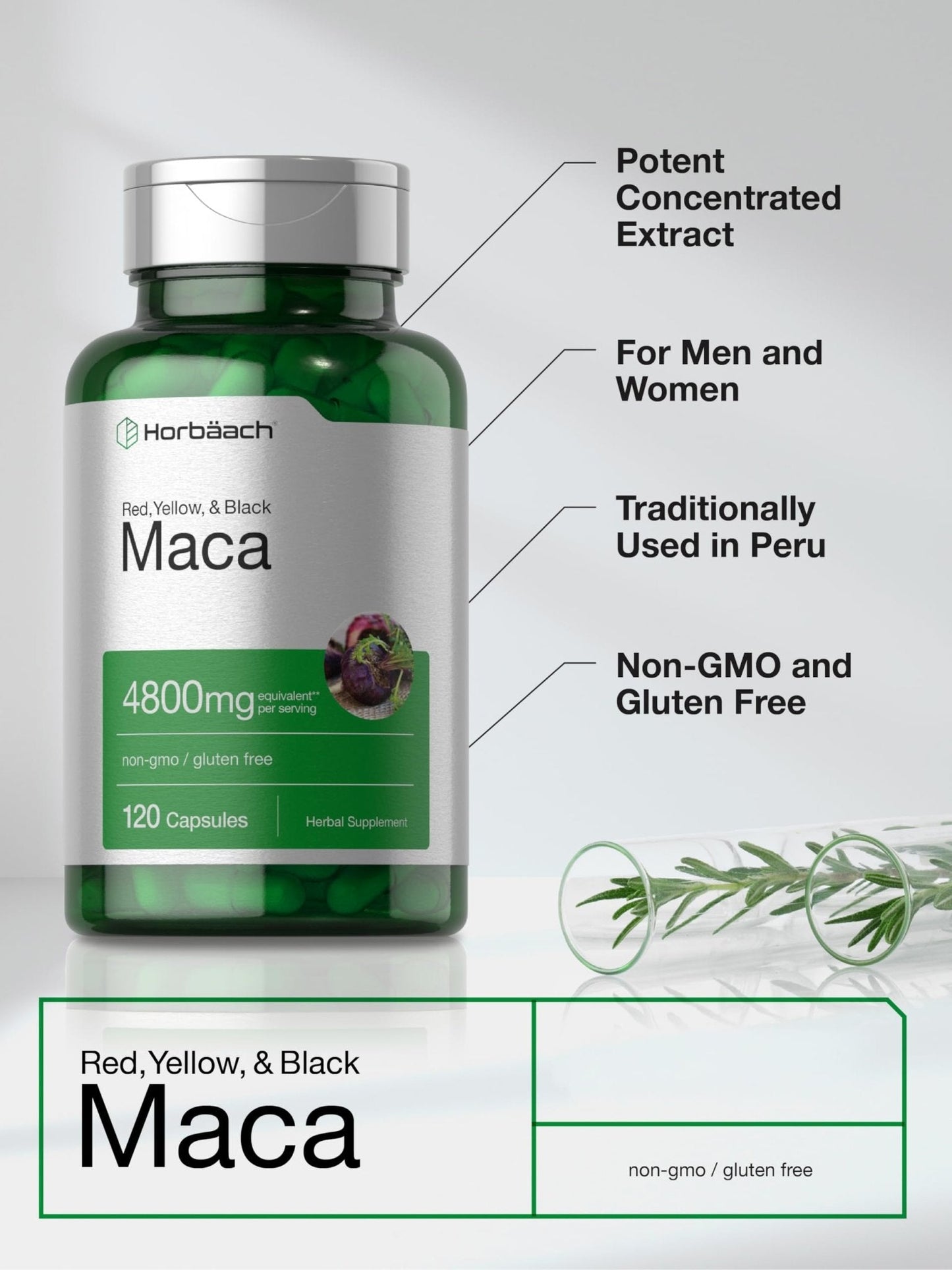 Horbäach Maca Root Capsules for Men and Women | 120 Pills | High Potency Extract | Non-GMO and Gluten Free Formula - Maple Wellness Supplements