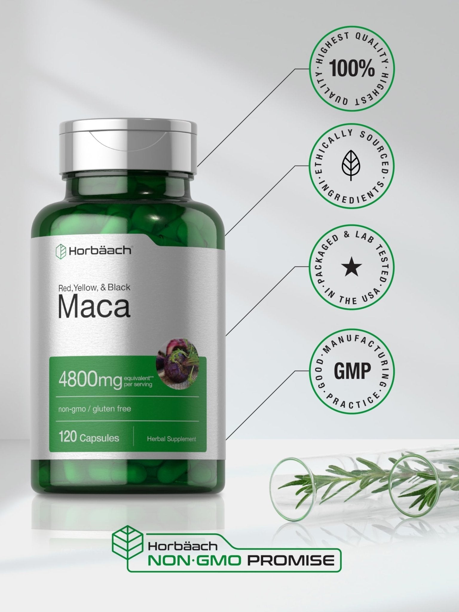 Horbäach Maca Root Capsules for Men and Women | 120 Pills | High Potency Extract | Non-GMO and Gluten Free Formula - Maple Wellness Supplements