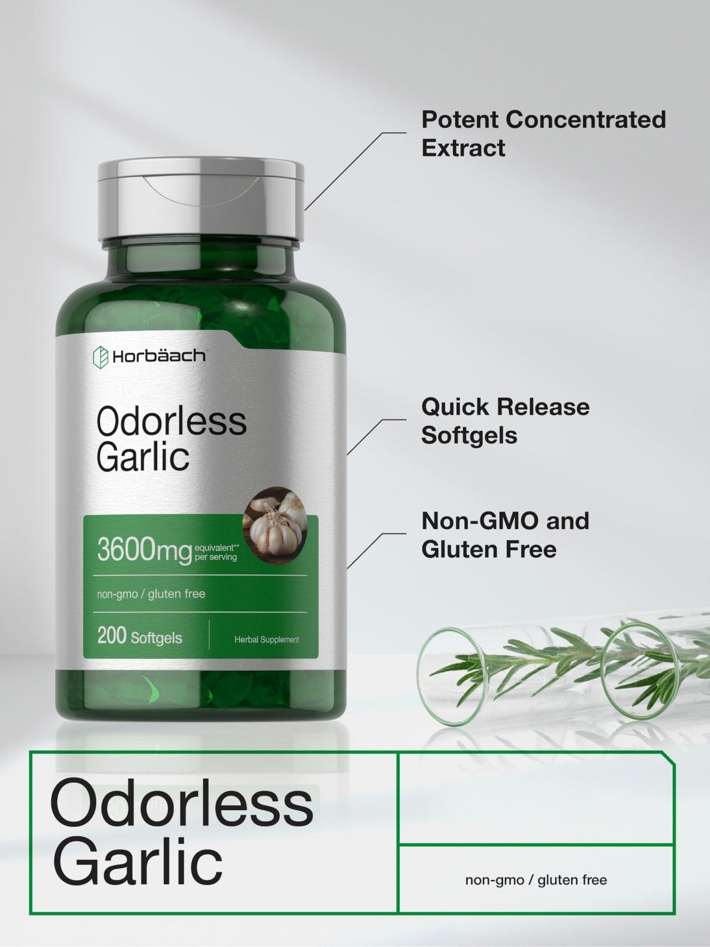 Horbäach Odorless Garlic Softgel Supplement | 200 Count | Ultra Potent Concentrated Herbal Extract | Non-GMO & Gluten Free - Maple Wellness Supplements