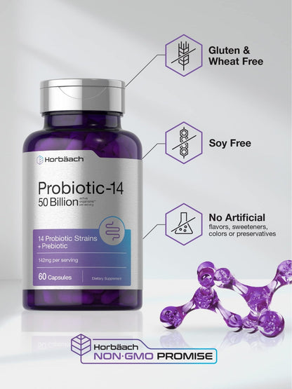 Horbäach Probiotics with Prebiotics | 60 Capsules | 50 Billion Active Organisms | Non-GMO - Maple Wellness Supplements