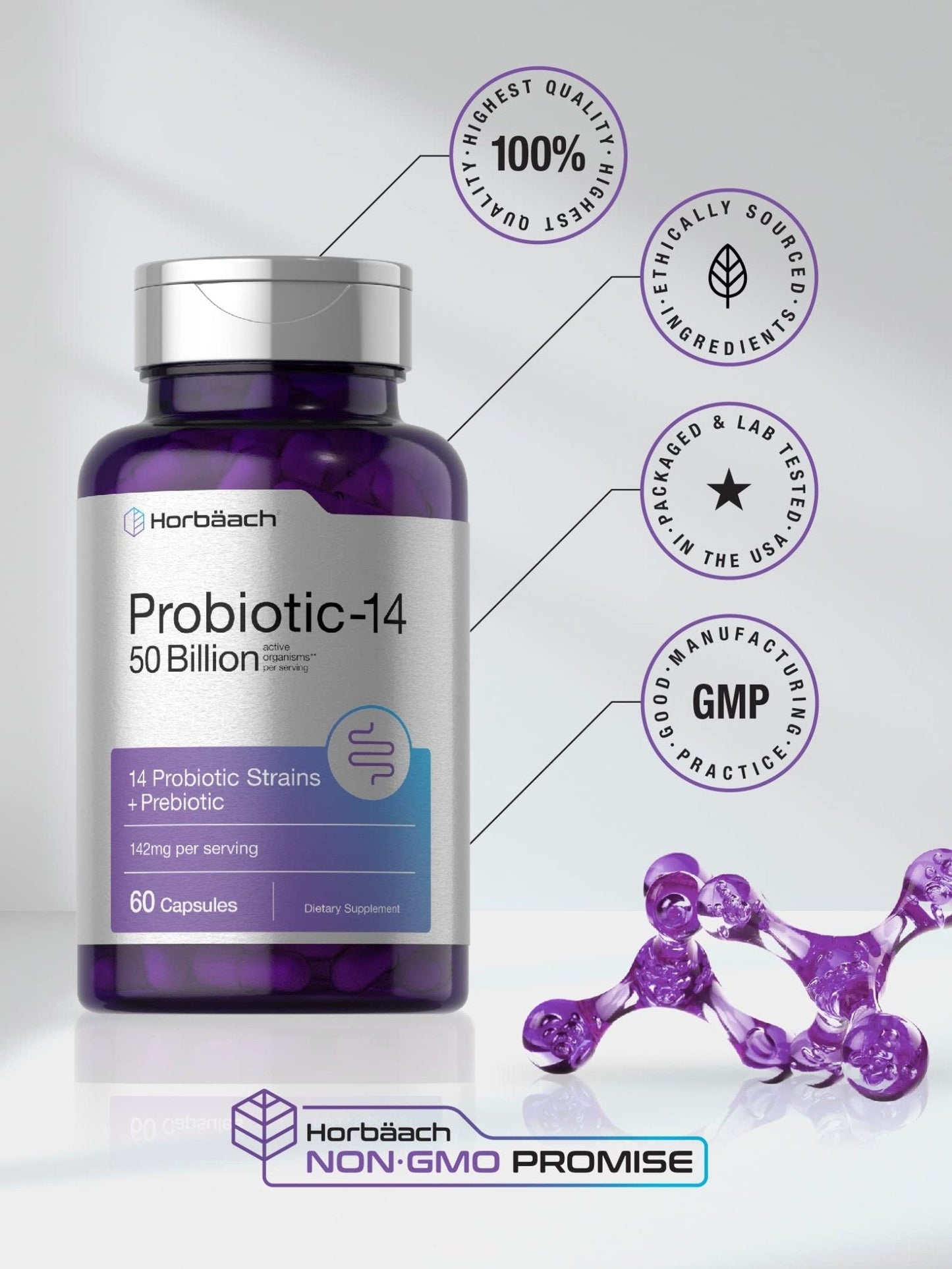 Horbäach Probiotics with Prebiotics | 60 Capsules | 50 Billion Active Organisms | Non-GMO - Maple Wellness Supplements