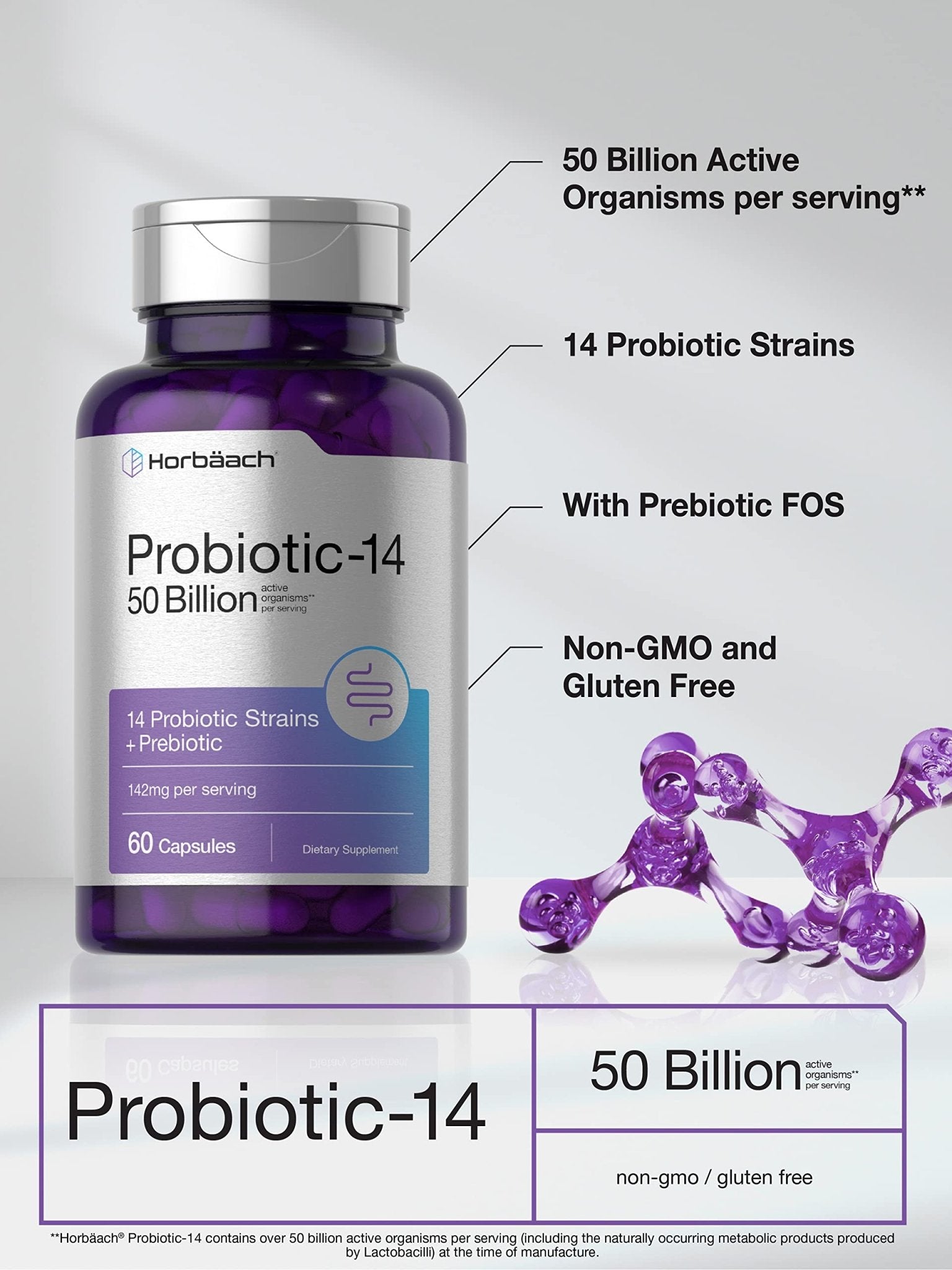 Horbäach Probiotics with Prebiotics | 60 Capsules | 50 Billion Active Organisms | Non-GMO - Maple Wellness Supplements