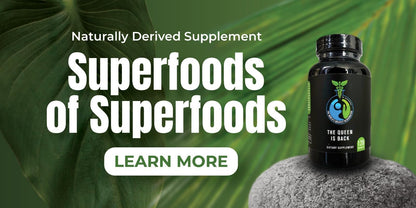 Hormonal Balance & Reproductive Health Support for Women, IVF Success, Metabolic & Bone Health, with Bioavailable Folate, Vitamin D3, and Inositols – Family-Owned, All-Natural Formula - Maple Wellness Supplements