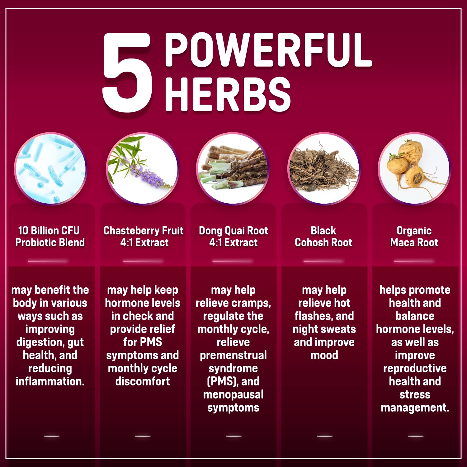 Hormone Balance + Probiotics for Women- Natural Menopause Relief, Weight Management, Bloating, Hot Flashes, PMS | Organic Maca, Chasteberry, Dong Quai & Black Cohosh | Non GMO |120 V Capsules - Maple Wellness Supplements