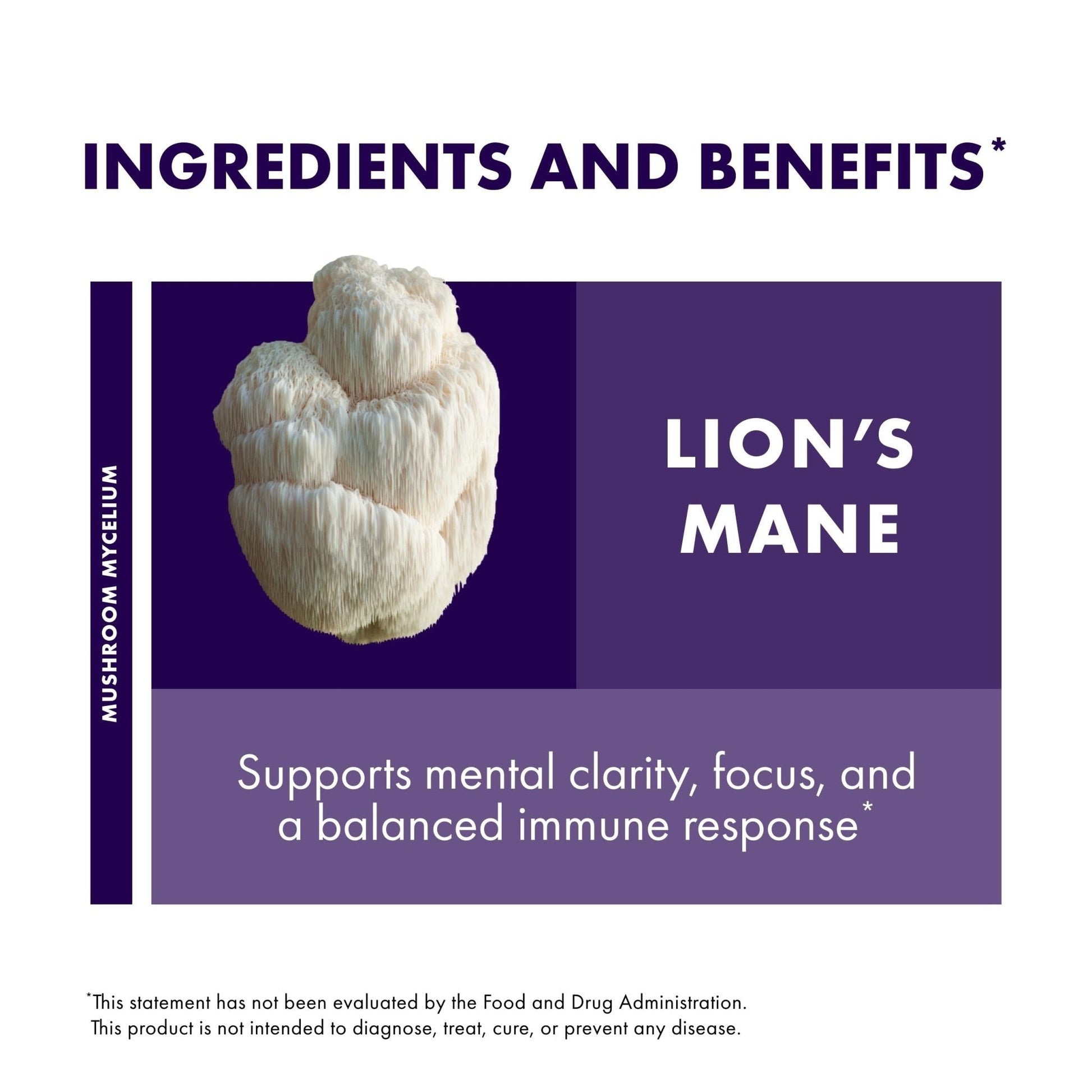 Host Defense Mushrooms Lion's Mane - Brain Health Support Supplement for Focus & Memory Function - Immune & Nervous System Support Supplement- 30 Capsules - Maple Wellness Supplements