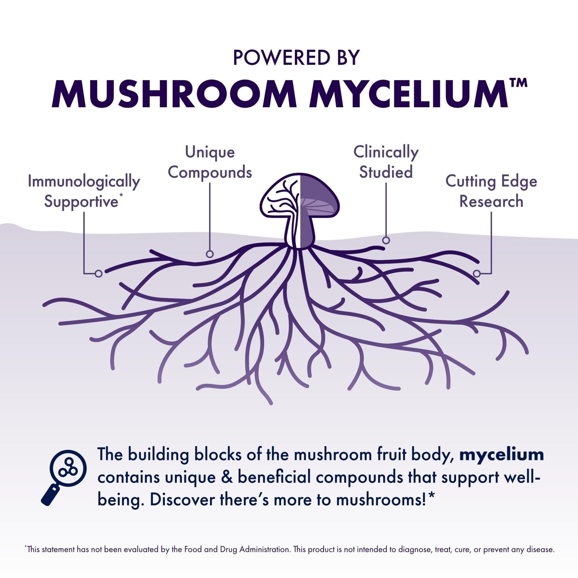 Host Defense Mushrooms Lion's Mane - Supplement Capsules for Brain Health Support - Mushroom Support for Focus & Memory Function - Maple Wellness Supplements