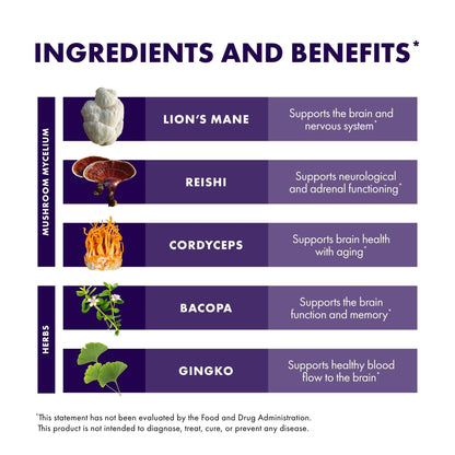 Host Defense MycoBotanicals Brain* Capsules - Brain Support Supplement with Lion's Mane, Reishi & Cordyceps Mushroom - Herbal Supplement for Memory & Focus Support - 60 Capsules - Maple Wellness Supplements