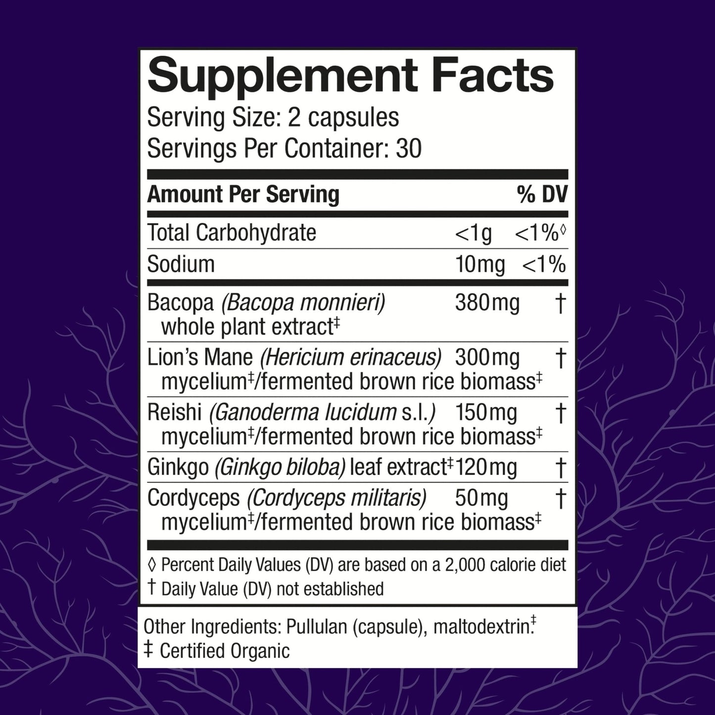 Host Defense MycoBotanicals Brain* Capsules - Brain Support Supplement with Lion's Mane, Reishi & Cordyceps Mushroom - Herbal Supplement for Memory & Focus Support - 60 Capsules - Maple Wellness Supplements