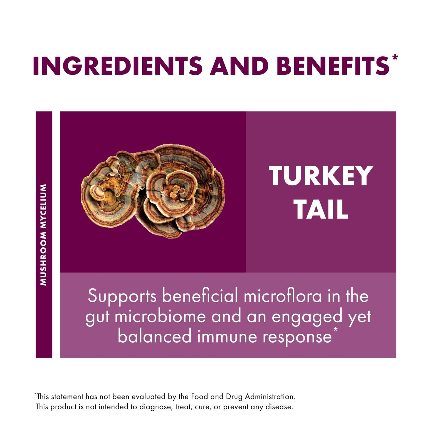 Host Defense Turkey Tail Capsules - Digestive Health & Immune Response Support Supplement - Mushroom Supplement for Gastrointestinal - Maple Wellness Supplements