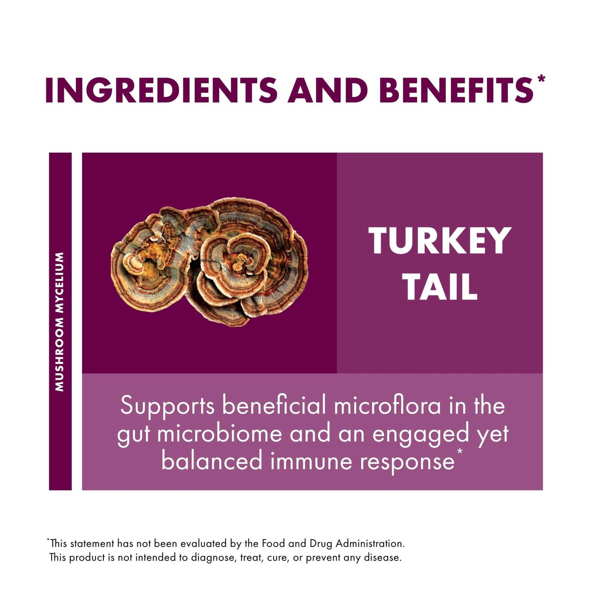 Host Defense Turkey Tail Capsules - Digestive Health & Immune Response Support Supplement - Mushroom Supplement for Gastrointestinal - Maple Wellness Supplements