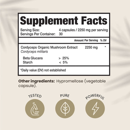 HPD Rx Premium Organic Cordyceps Mushroom Extract Performance , Pack of 2 - Maple Wellness Supplements