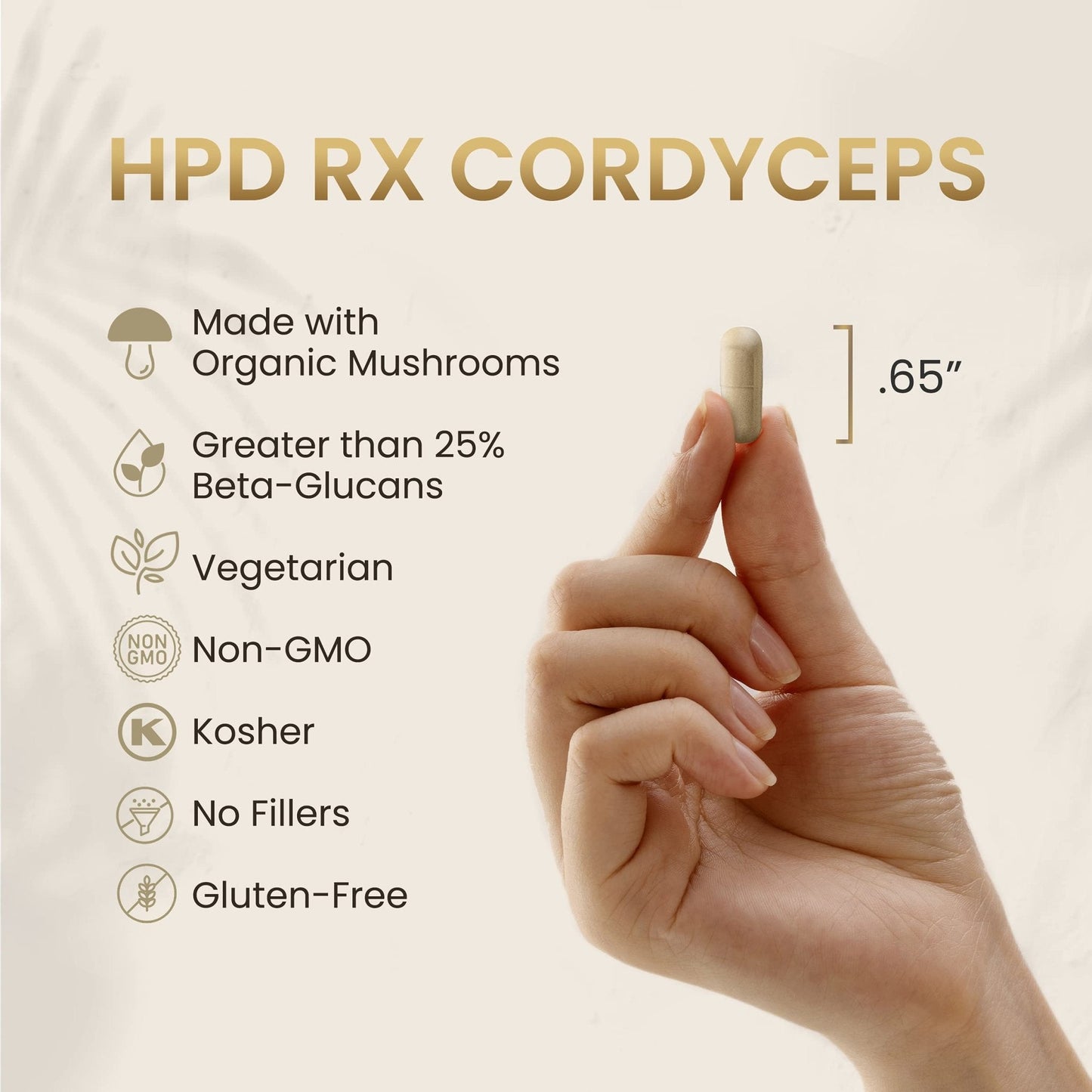 HPD Rx Premium Organic Cordyceps Mushroom Extract Performance , Pack of 2 - Maple Wellness Supplements