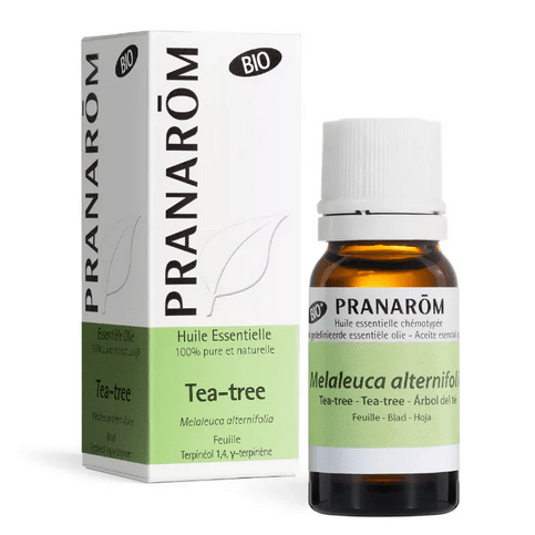 Huile essentielle Tea Tree BIO (Melaleuca alternifolia) 10 ml PRANAROM - Maple Wellness Supplements