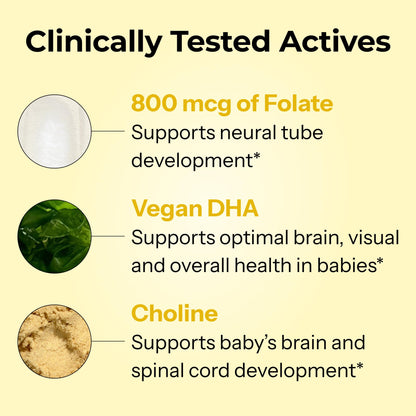 HUM Complete Prenatal Multivitamin for Women with Folate, DHA, and Choline, 23 Nutrients for Daily Support, Gluten Free, Non GMO Supplement for Pre, During, and Post Pregnancy, 30 Vegan Capsules - Maple Wellness Supplements
