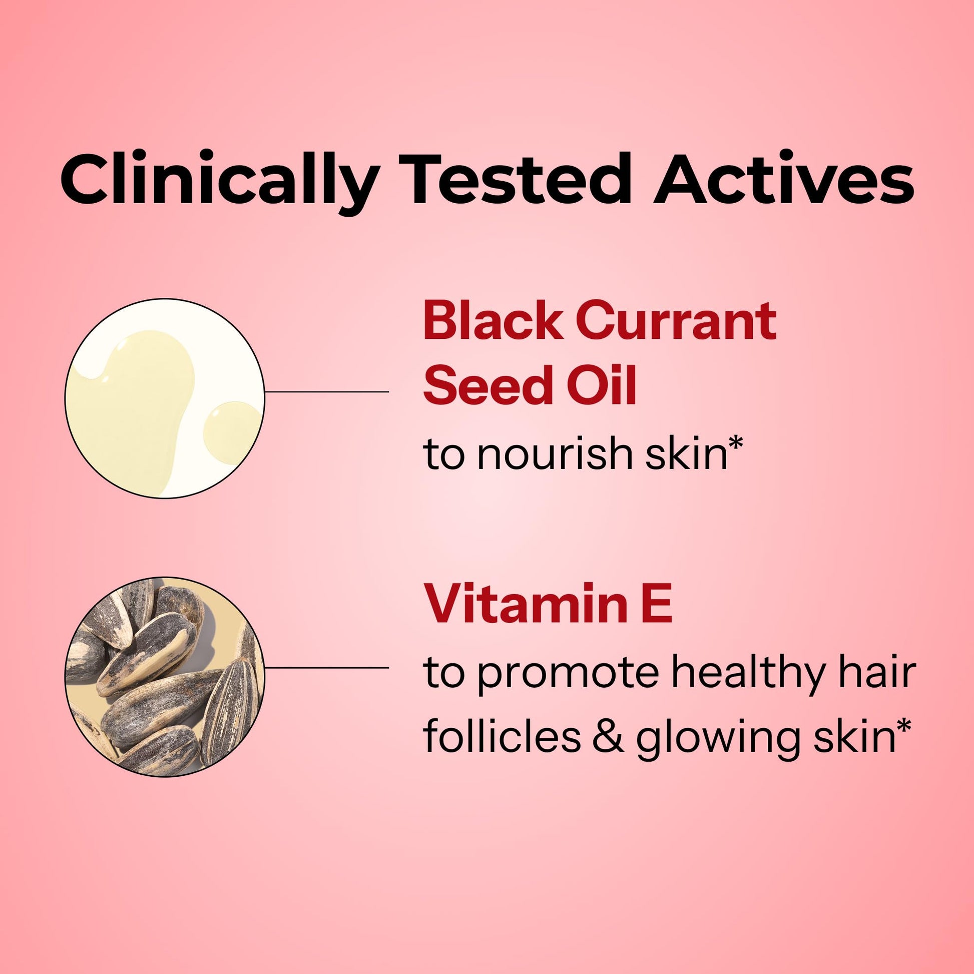 HUM Red Carpet Skin & Hair Vitamins for Women with Omega 3 Fatty Acids, Vitamin E, and Black Currant Seed Oil, Supplement for Skin Health & Healthy Hair Follicles Support, 60 Count - Maple Wellness Supplements