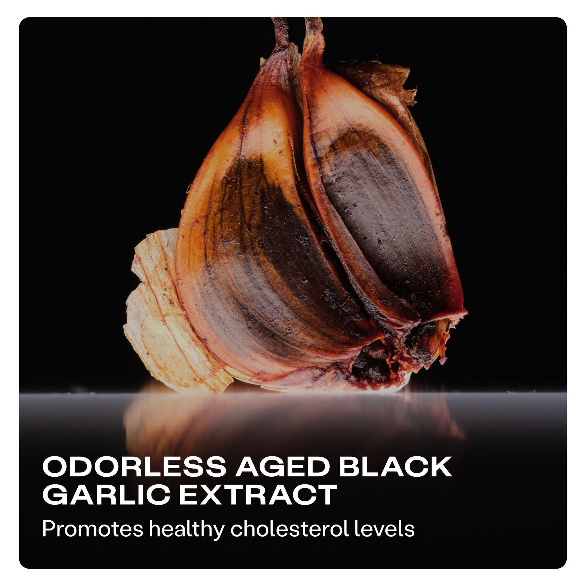 Humann Cholesterol Health Daily, Aged Black Garlic Extract & Citrus Bergamot, Cholesterol & Lipid Support Supplement, 60 Capsules - Maple Wellness Supplements