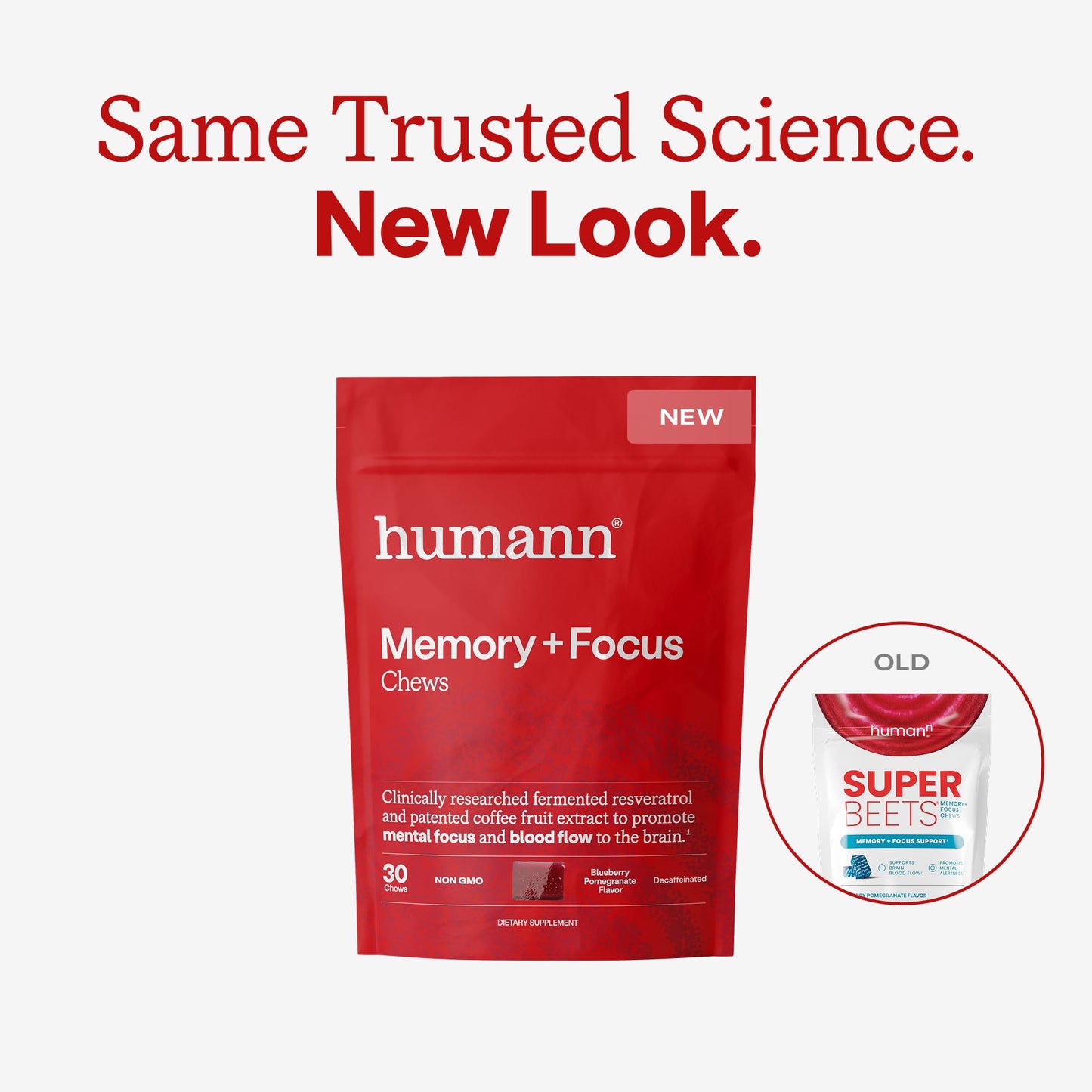 Humann Memory and Focus Chews, Brain Supplement for Mental Alertness with Beet Root Powder, Clinically Studied Nootropics, Resveratrol Plus Beet Root Powder - Maple Wellness Supplements