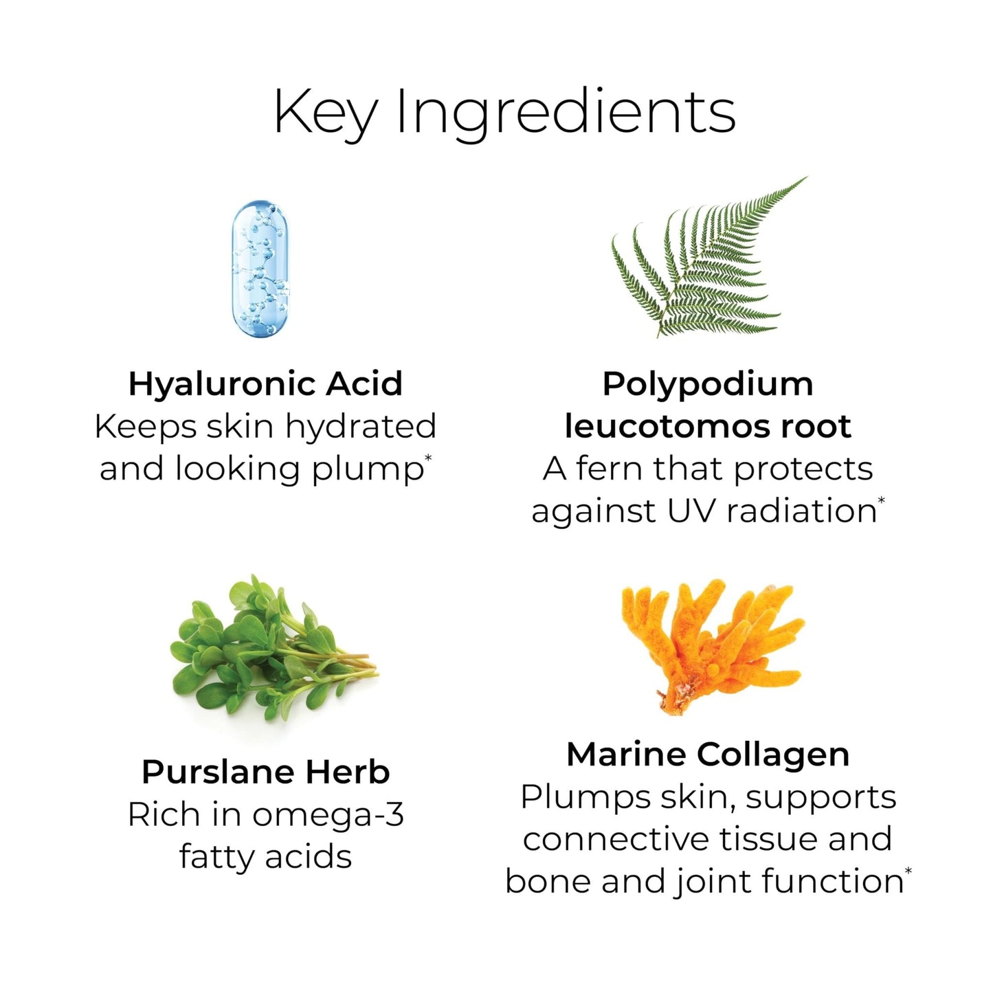 Hush & Hush TimeCapsule Multivitamin, Women's Multivitamin, Men's Multivitamin, Clean Nutraceuticals Supplements That Contains Hyaluronic Acid - Maple Wellness Supplements